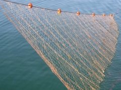 Germe Ağ Misina Fanyalı 15 Metre