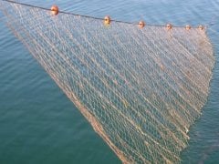 Germe Ağ Misina Fanyalı 25 Metre