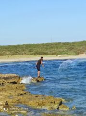 Çemberli Serpme Misina Ağ 6 kg zincirli