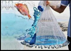 Çemberli Serpme Misina Ağ 6 kg Kurşunlu